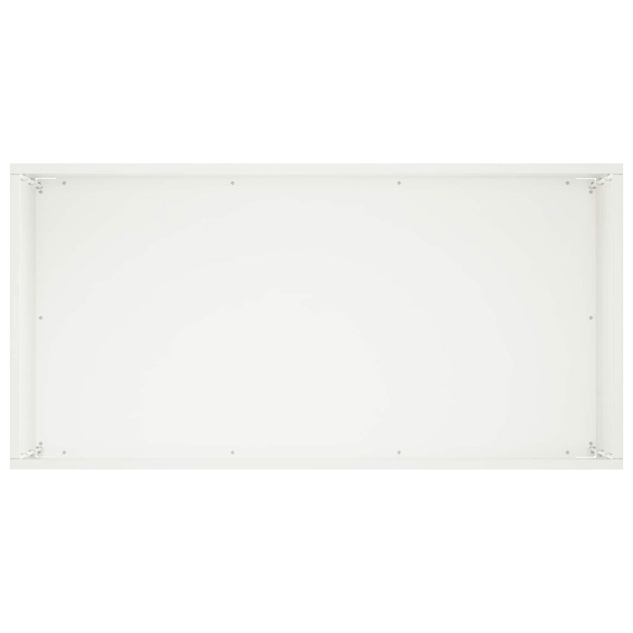 Plantenbak 2 st Wit 60 x 30 x 50 cm Koudgewalst staal