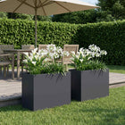 Plantenbak 2 st 60x30x50 cm antraciet staal