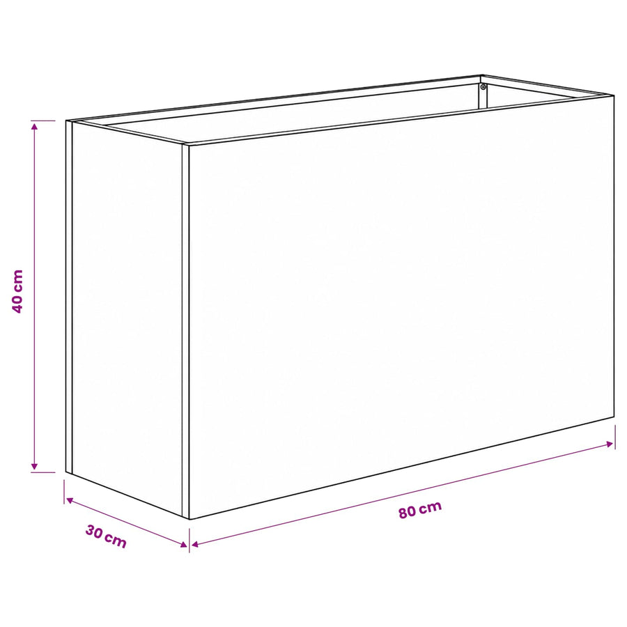 Plantenbak Zwart 80 x 30 x 40 cm Koudgewalst staal