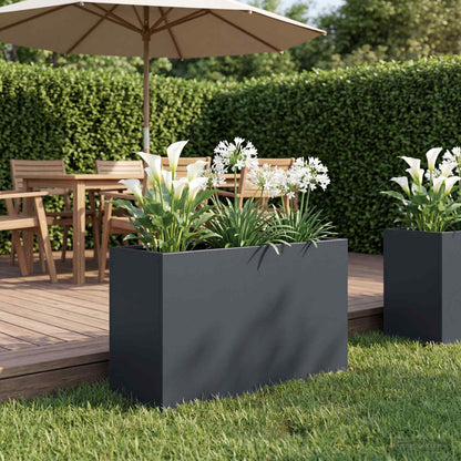 Plantenbak Antraciet 80 x 30 x 40 cm Koudgewalst staal