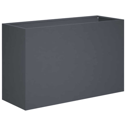 Plantenbak Antraciet 80 x 30 x 40 cm Koudgewalst staal