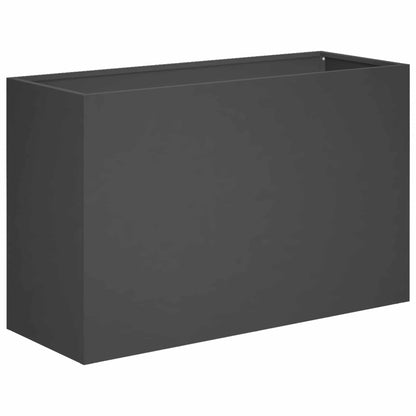 Plantenbak Zwart 80 x 30 x 50 cm Koudgewalst staal