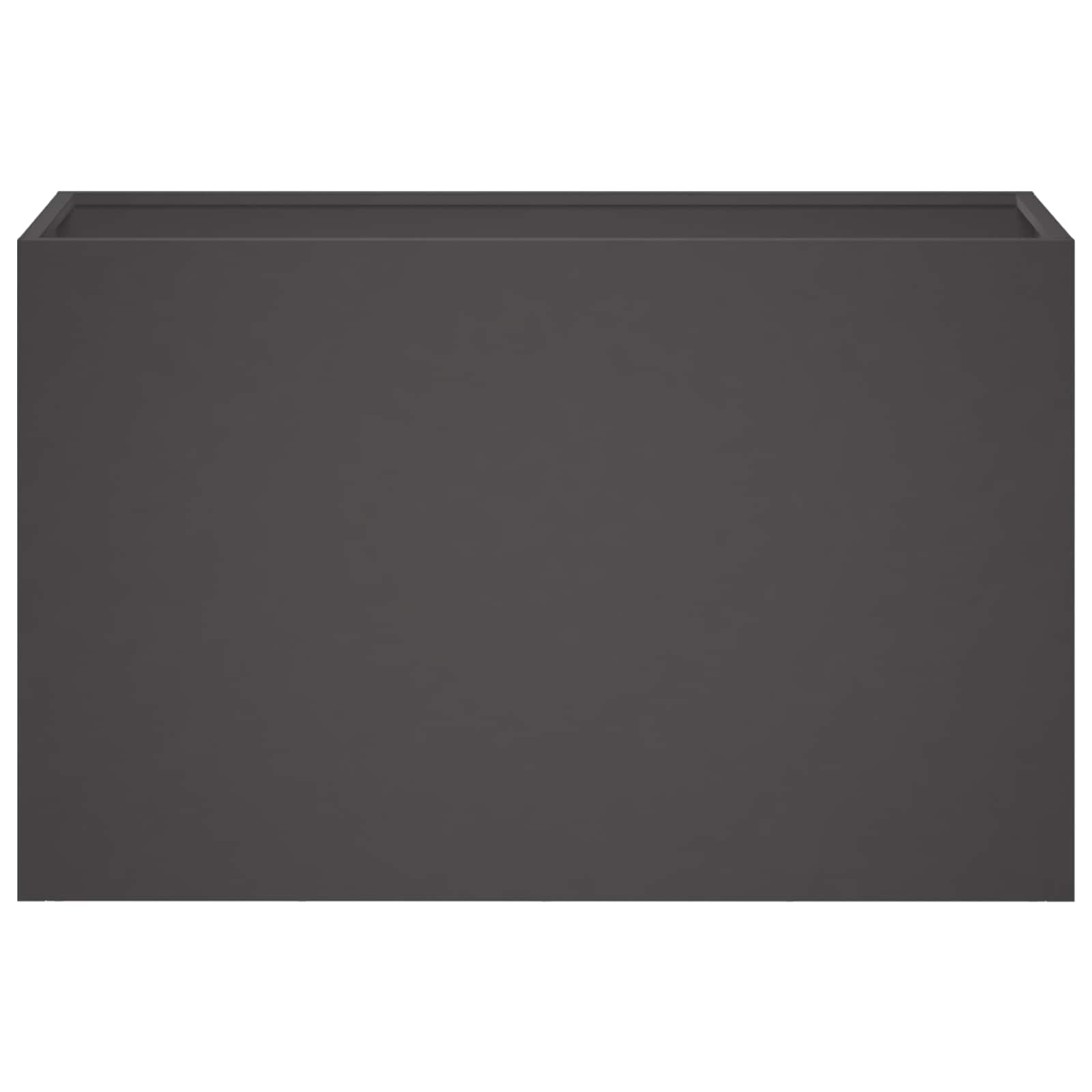 Plantenbak Zwart 80 x 30 x 50 cm Koudgewalst staal