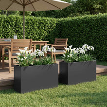 Plantenbak 2 st Zwart 80 x 30 x 50 cm Koudgewalst staal