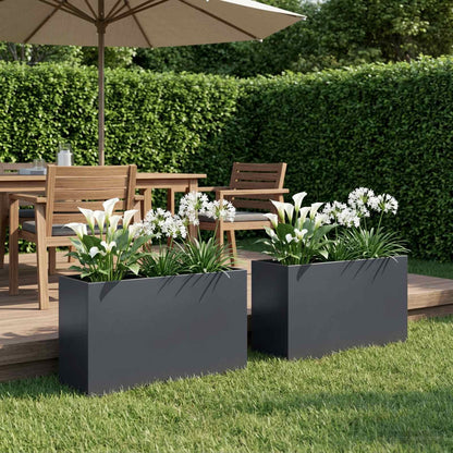 Plantenbak 2 st Antraciet 80 x 30 x 50 cm Koudgewalst staal
