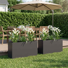 Plantenbak 2 st Zwart 100 x 30 x 40 cm Koudgewalst staal