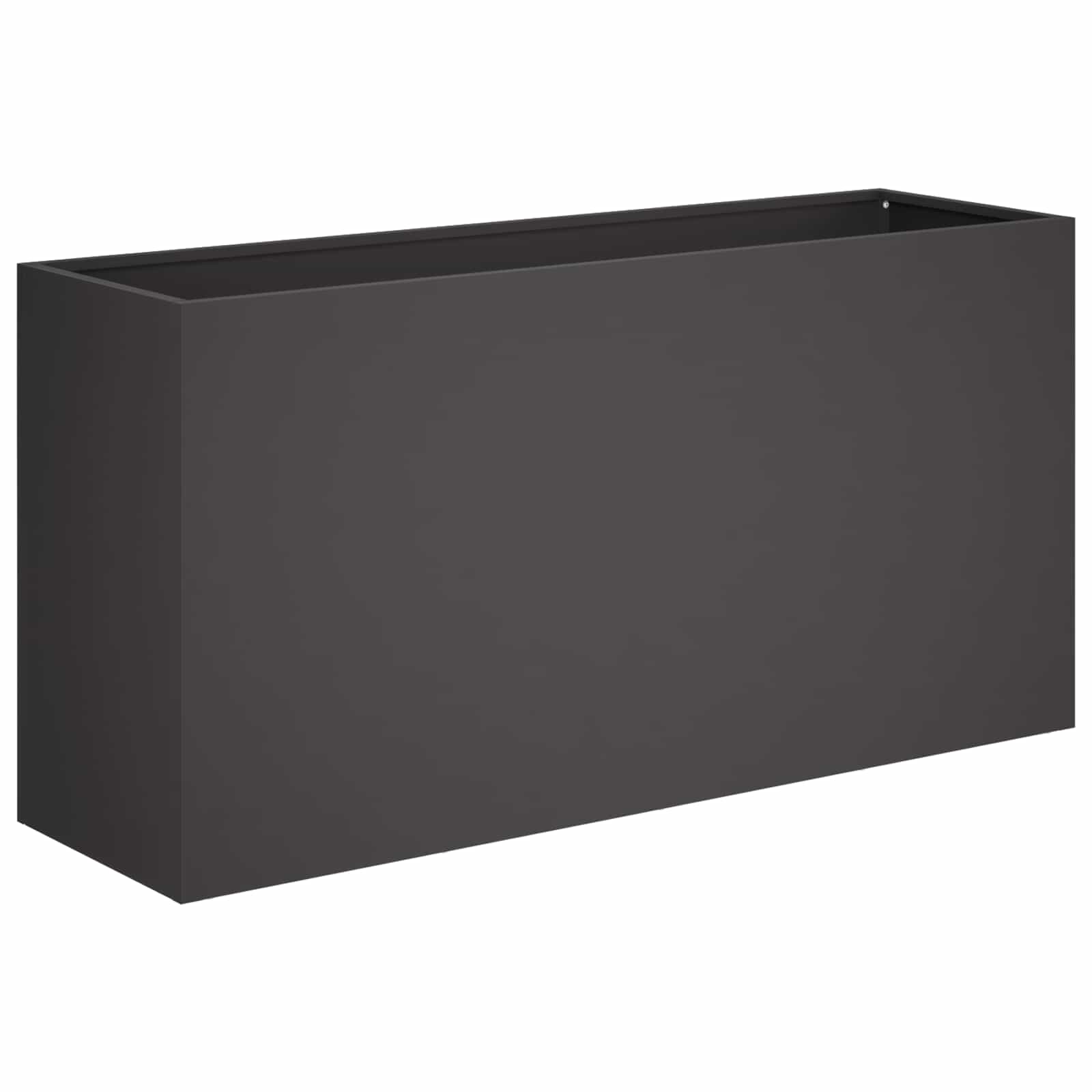 Plantenbak 2 st Zwart 100 x 30 x 40 cm Koudgewalst staal