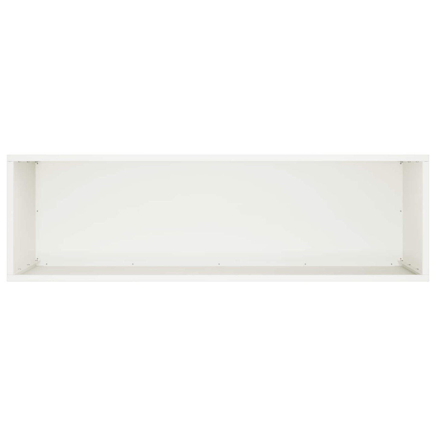 Plantenbak 2 st Wit 100 x 30 x 40 cm Koudgewalst staal