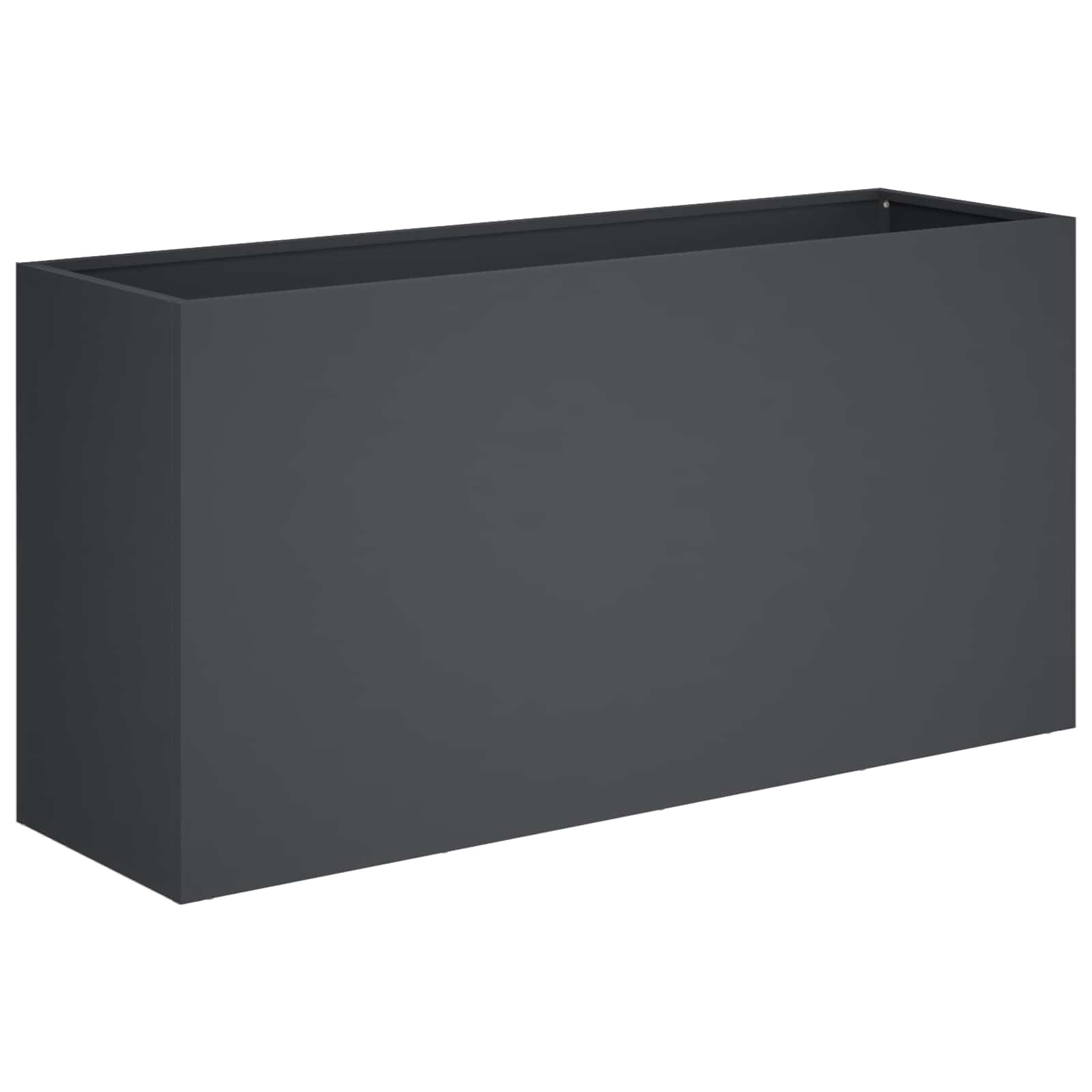 Plantenbak Antraciet 100 x 30 x 40 cm Koudgewalst staal