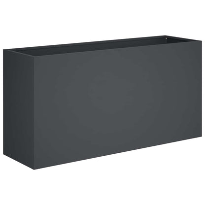 Plantenbak Antraciet 100 x 30 x 40 cm Koudgewalst staal