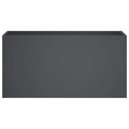 Plantenbak Antraciet 100 x 30 x 40 cm Koudgewalst staal
