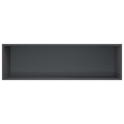 Plantenbak Antraciet 100 x 30 x 40 cm Koudgewalst staal
