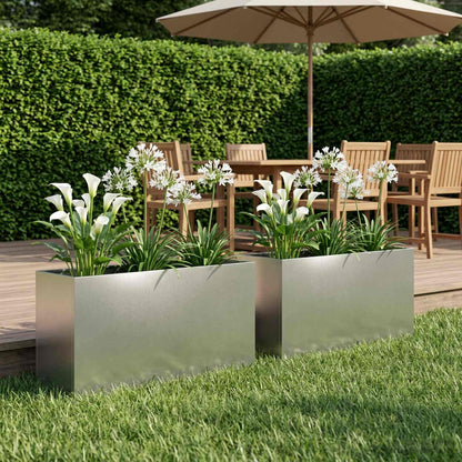Plantenbak 2 st zilver 100 x 30 x 40 cm Roestvrij staal