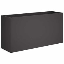 Plantenbak Zwart 100 x 30 x 50 cm Koudgewalst staal