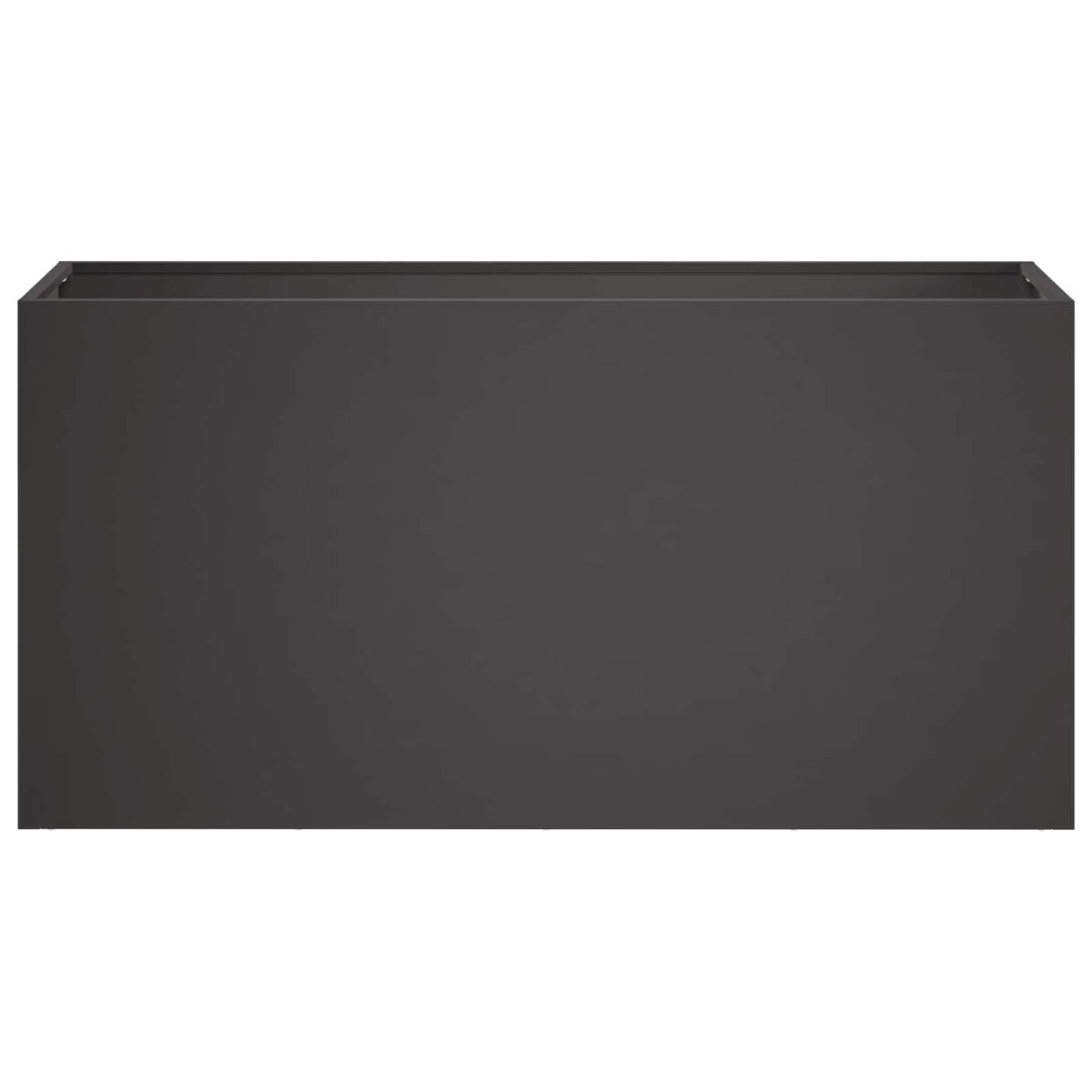 Plantenbak Zwart 100 x 30 x 50 cm Koudgewalst staal