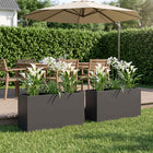 Plantenbakken set 2 stuks zwart 100x30x50 cm koudgewalst staal