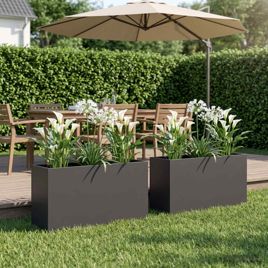 Plantenbak 2 st Zwart 100 x 30 x 50 cm Koudgewalst staal
