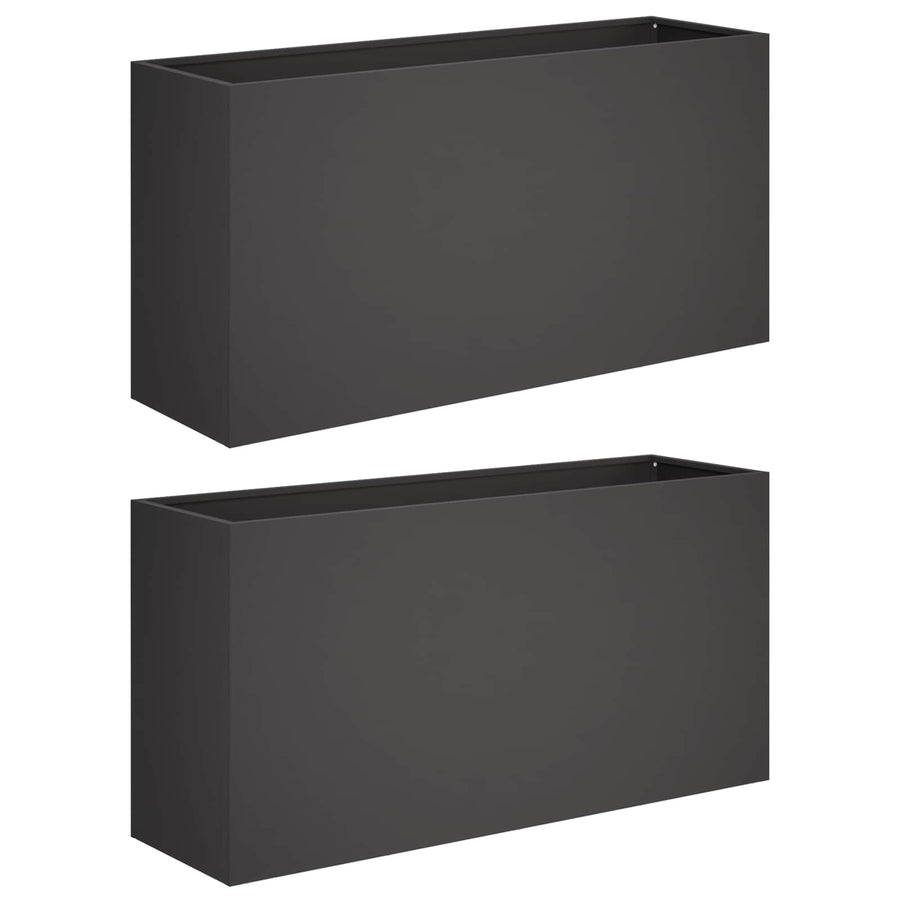 Plantenbak 2 st Zwart 100 x 30 x 50 cm Koudgewalst staal