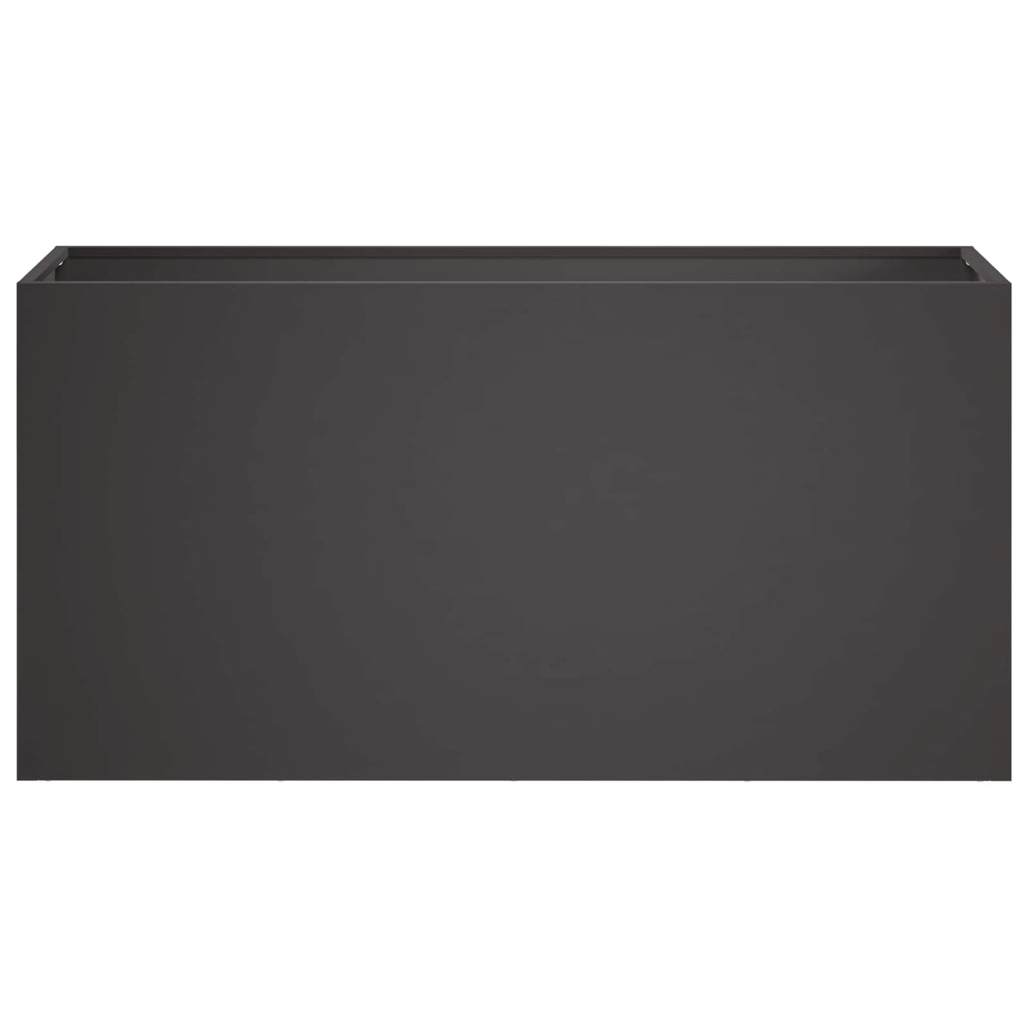Plantenbak 2 st Zwart 100 x 30 x 50 cm Koudgewalst staal