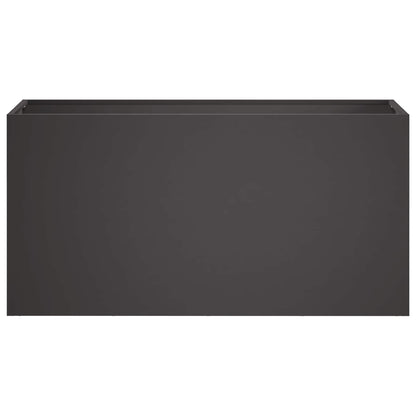 Plantenbak 2 st Zwart 100 x 30 x 50 cm Koudgewalst staal