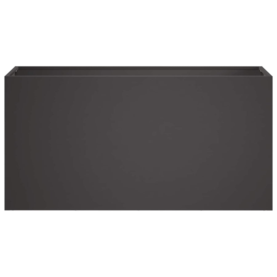 Plantenbak 2 st Zwart 100 x 30 x 50 cm Koudgewalst staal