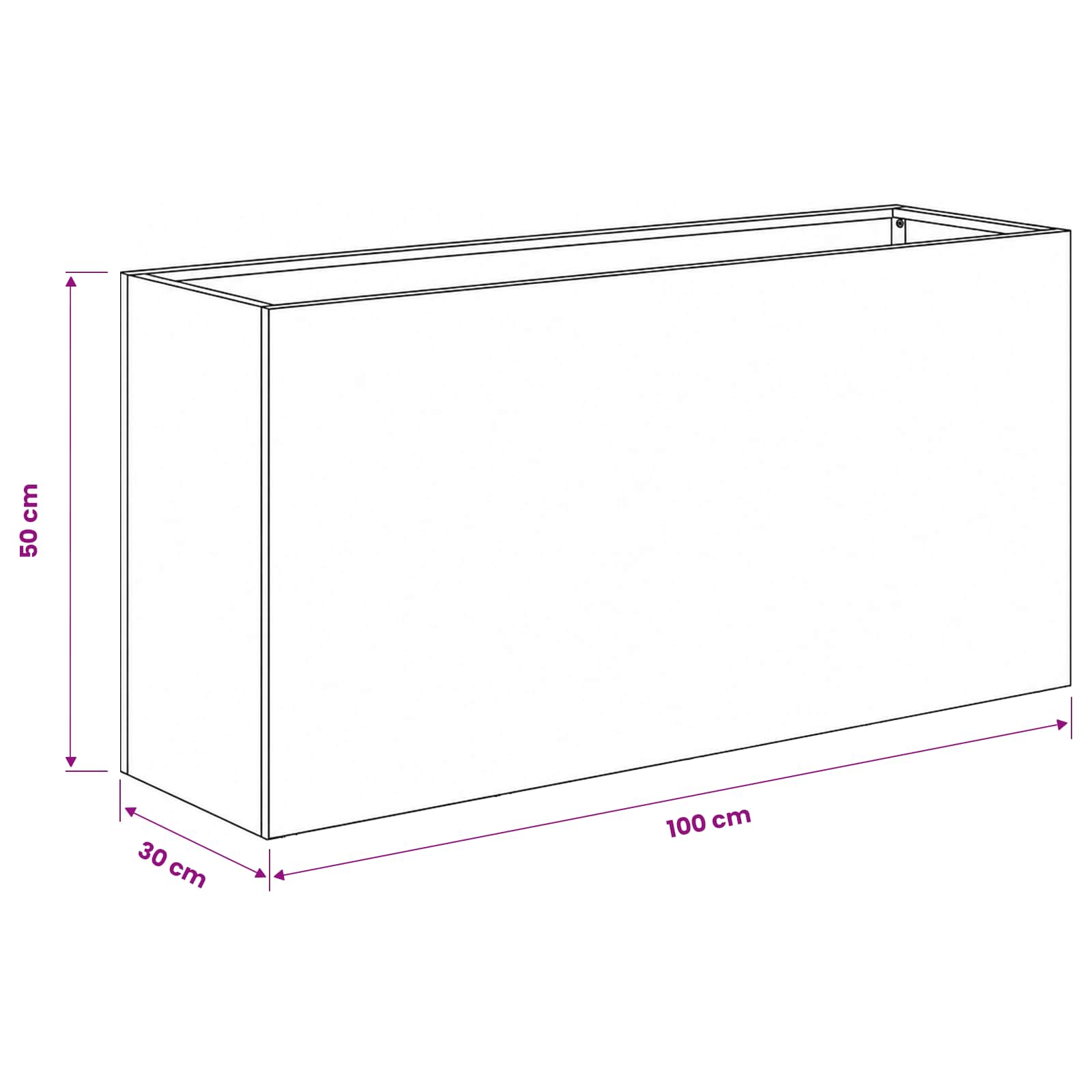 Plantenbak 2 st Zwart 100 x 30 x 50 cm Koudgewalst staal
