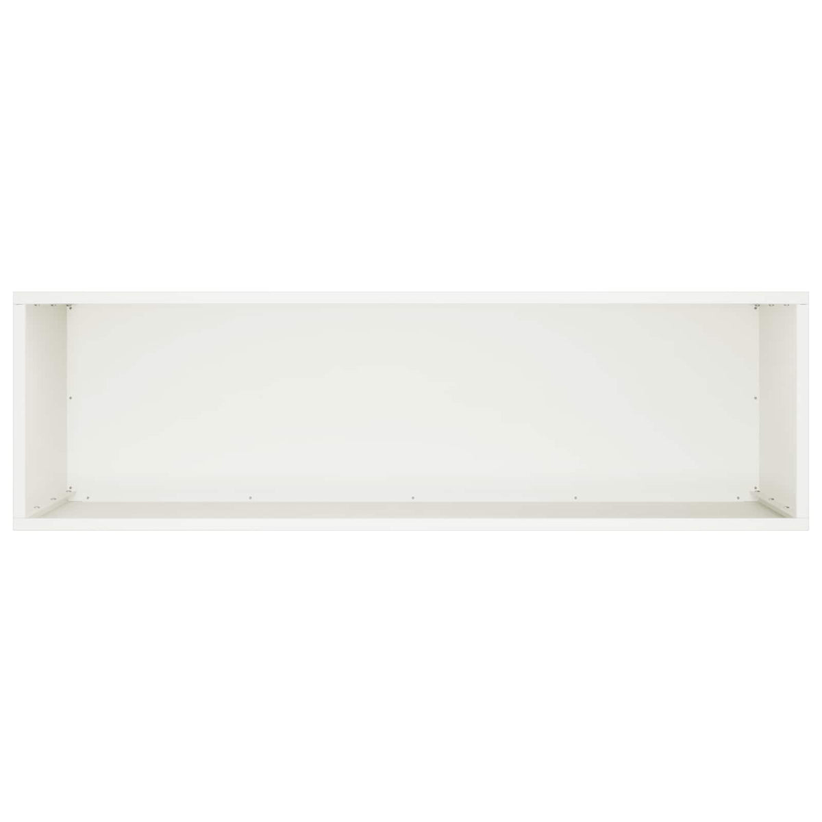 Plantenbak Wit 100 x 30 x 50 cm Koudgewalst staal