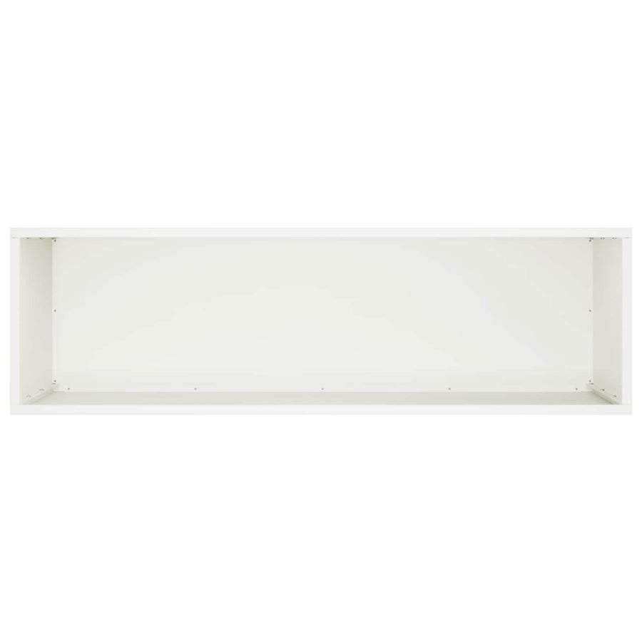 Plantenbak 2 st Wit 100 x 30 x 50 cm Koudgewalst staal