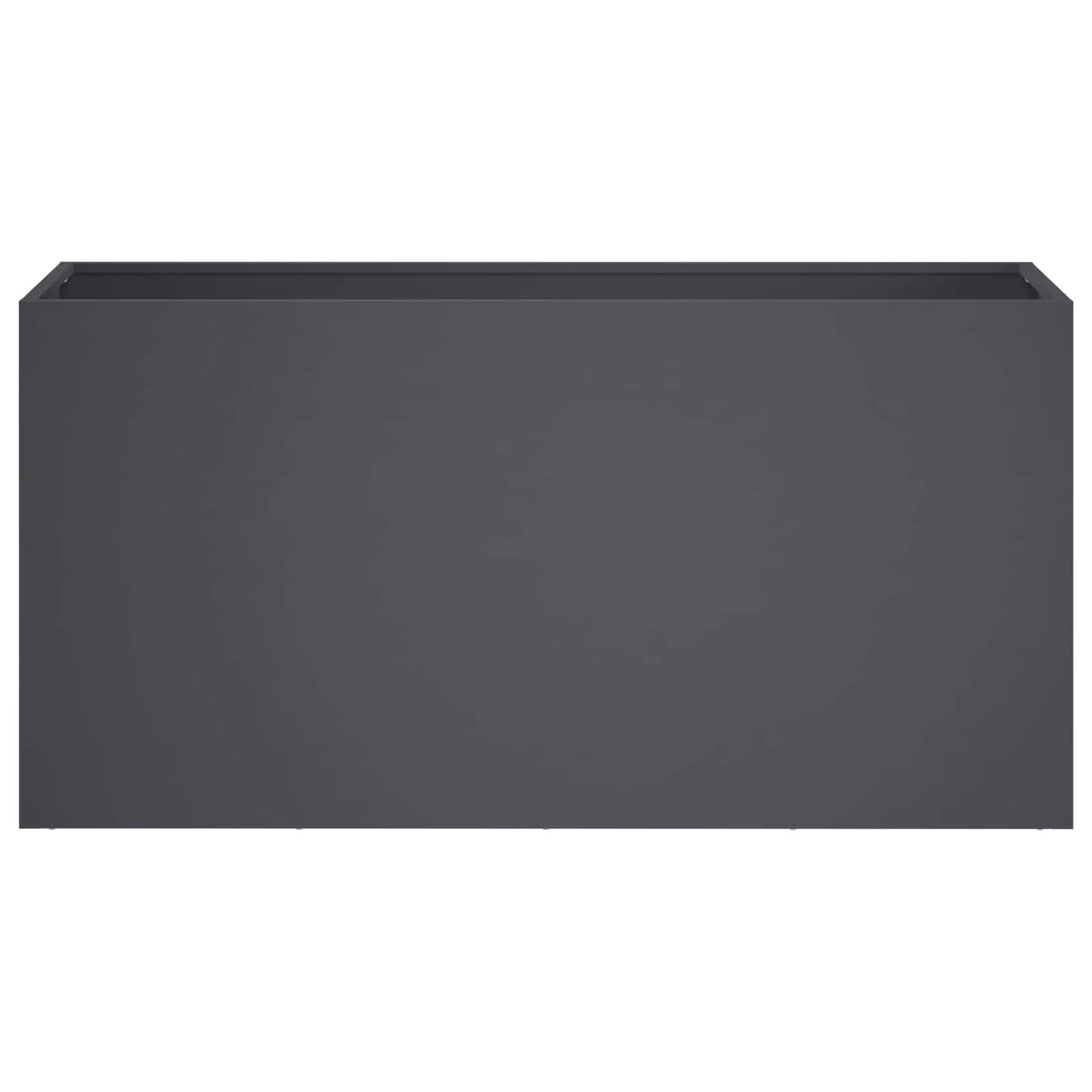 Plantenbak Antraciet 100 x 30 x 50 cm Koudgewalst staal
