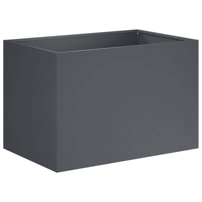 Plantenbak 2 st Antraciet 50 x 40 x 40 cm Koudgewalst staal