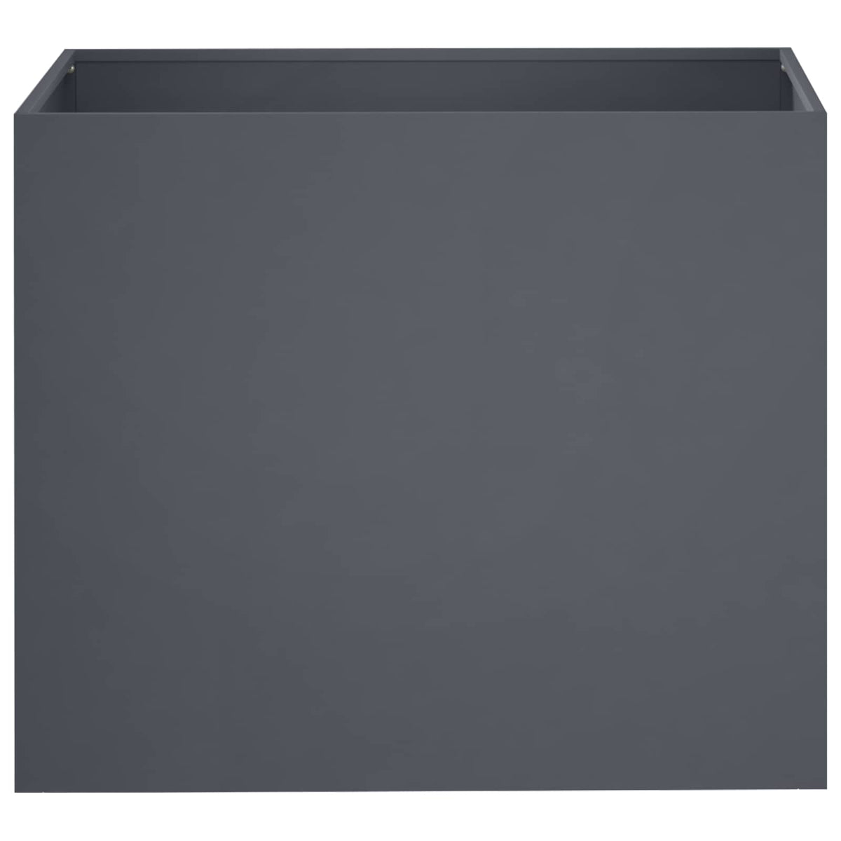 Plantenbak 2 st Antraciet 50 x 40 x 50 cm Koudgewalst staal