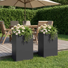 Plantenbak 2 st Zwart 50 x 40 x 75 cm Koudgewalst staal