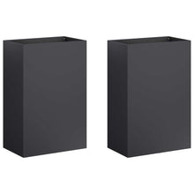 Plantenbak 2 st Zwart 50 x 40 x 75 cm Koudgewalst staal
