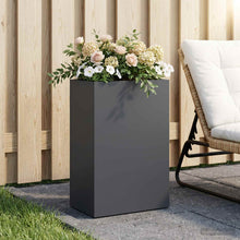 Plantenbak Antraciet 50 x 40 x 75 cm Koudgewalst staal