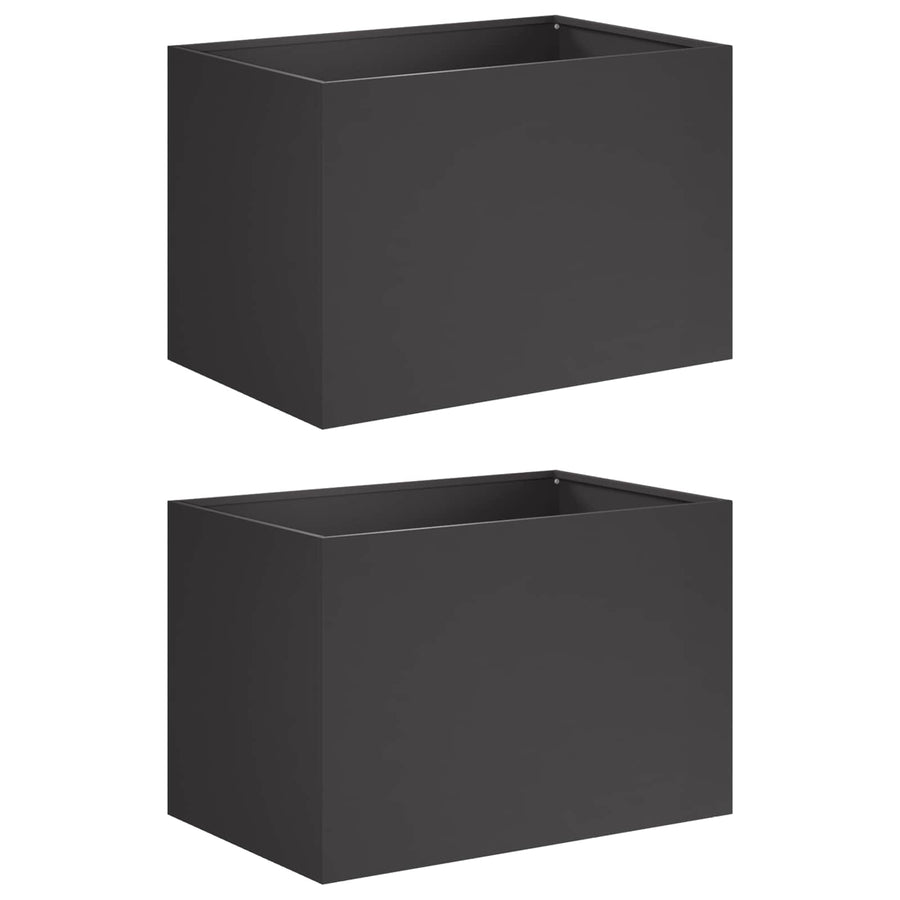 Plantenbak 2 st Zwart 60 x 40 x 40 cm Koudgewalst staal