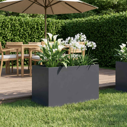 Plantenbak Antraciet 60 x 40 x 40 cm Koudgewalst staal