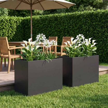 Plantenbak 2 st Zwart 60 x 40 x 50 cm Koudgewalst staal