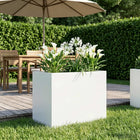 Plantenbak 60x40x50 cm koudgewalst staal wit