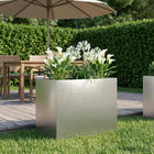 Plantenbak roestvrij staal 60x40x50 cm zilver