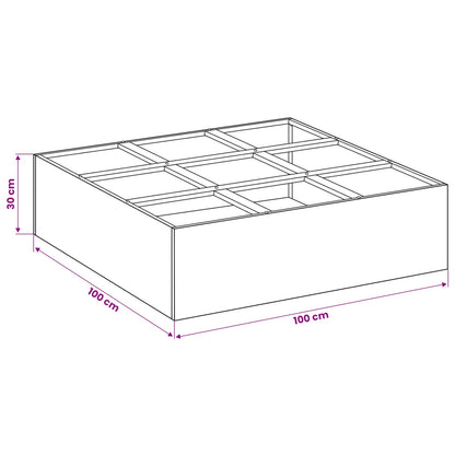 Plantenbak Zwart 100 x 100 x 30 cm Koudgewalst staal