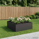 Plantenbak 100x100x50 cm koudgewalst staal zwart
