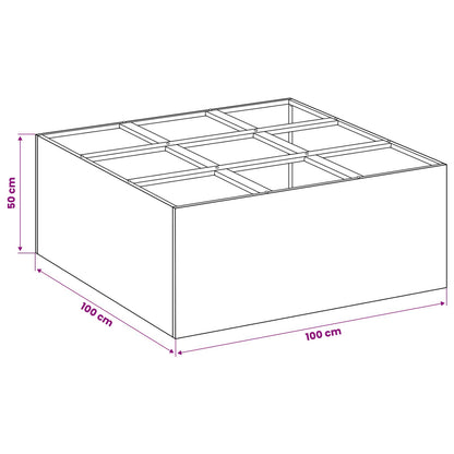 Plantenbak Zwart 100 x 100 x 50 cm Koudgewalst staal