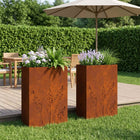 Plantenbak 2 st 50x30x75 cm weervast staal roestkleurig
