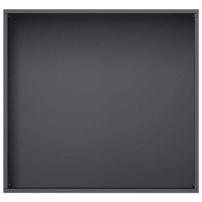 Plantenbak Antraciet 50 x 50 x 49 cm Koudgewalst staal