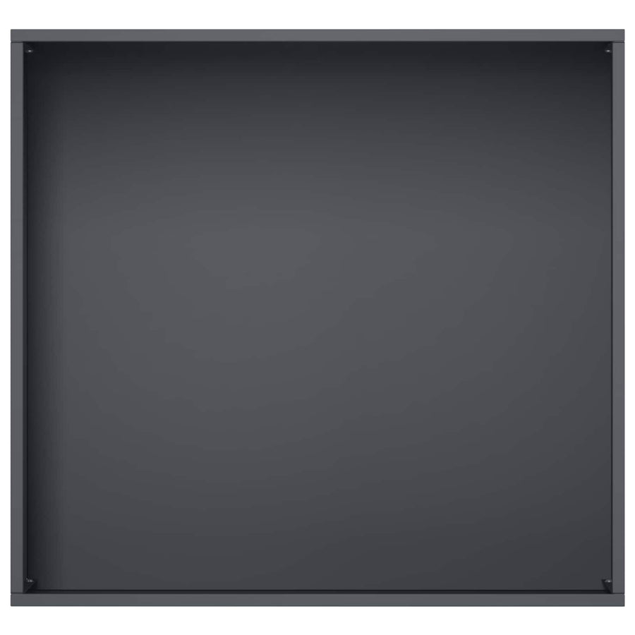 Plantenbak Antraciet 50 x 50 x 49 cm Koudgewalst staal