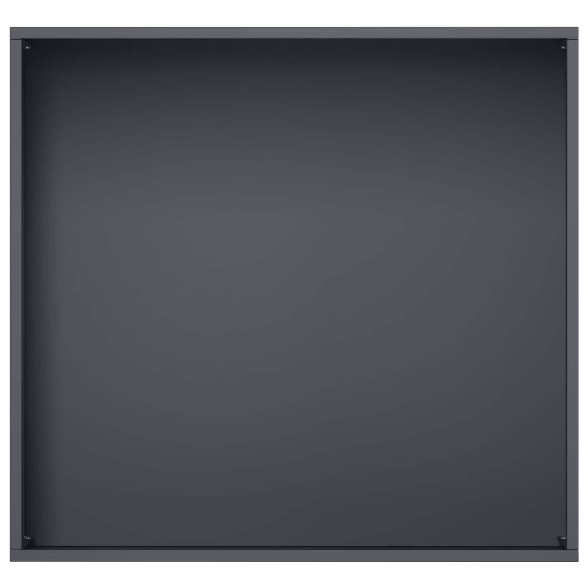 Plantenbak 2 st Antraciet 50 x 50 x 49 cm Koudgewalst staal