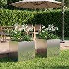 Plantenbak 2 st zilver 50 x 50 x 49 cm Roestvrij staal