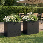 Plantenbak 2 st Zwart 50 x 30 x 49 cm Koudgewalst staal