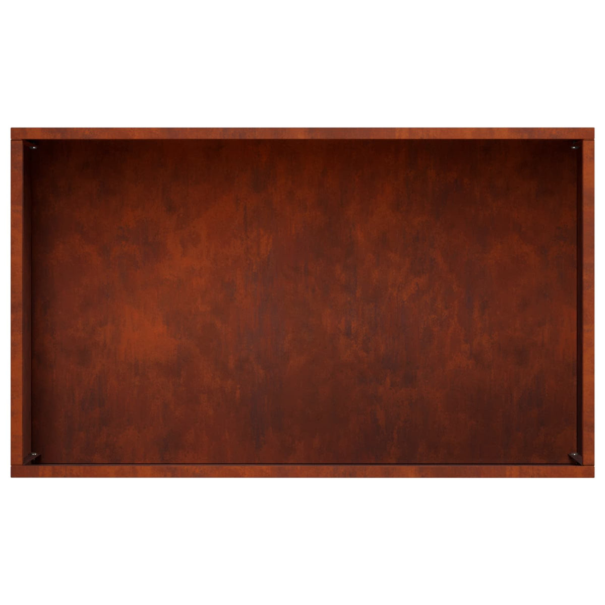 Plantenbak 2 st Roestkleurig 50 x 30 x 49 cm weervast staal