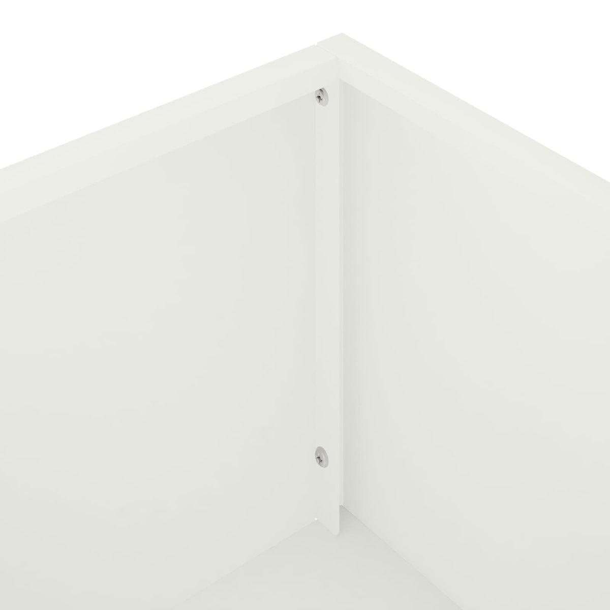 Plantenbak 2 st Wit 100 x 20 x 49 cm Koudgewalst staal